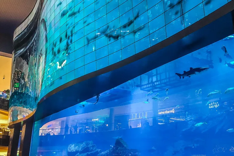 Akvarijum u tržnom centru Dubai Mall