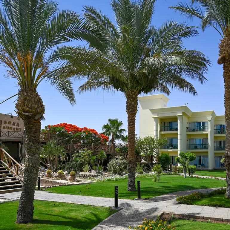 Vrt sa palmama u hotelu Swiss Inn Resort Hurgada