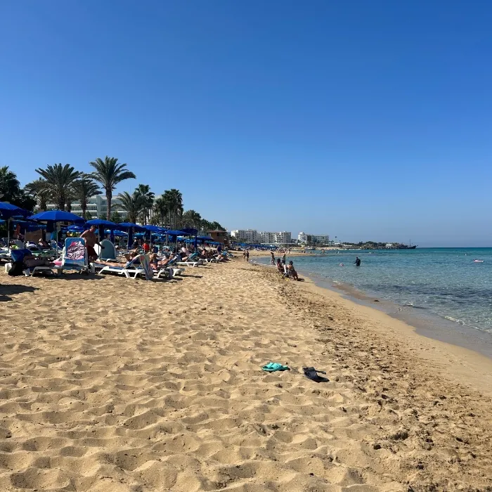 Peščana plaža sa palmama u Protarasu