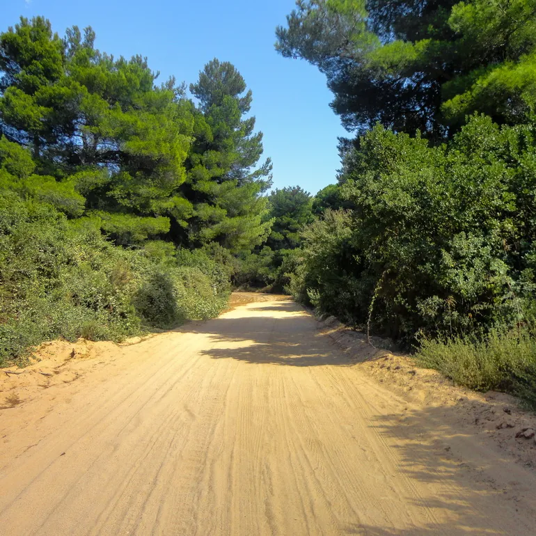 Šumski put do plaža na severozapadu Skijatosa
