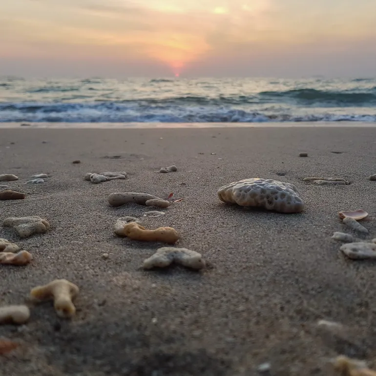 Zalazak sunca na plaži Long Beach