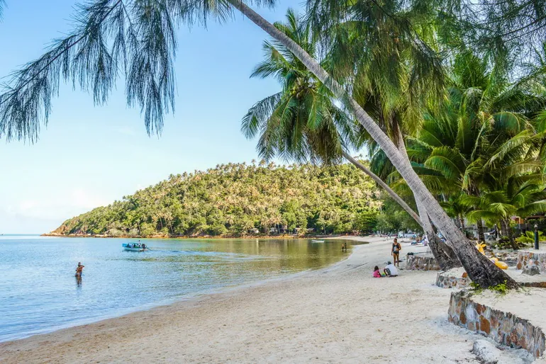 Palme nad plažom Haad Yao