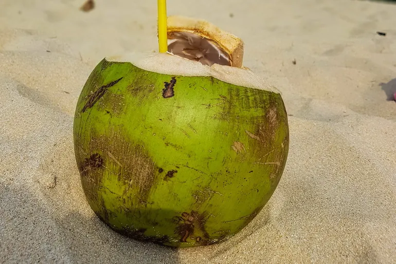 Kokos za piće na plaži