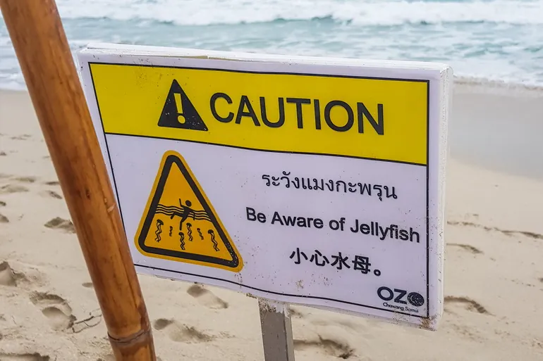 Upozorenje na meduze na plaži