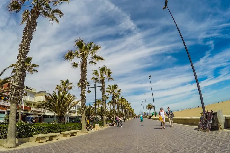 Šetalište sa palmama uz plažu