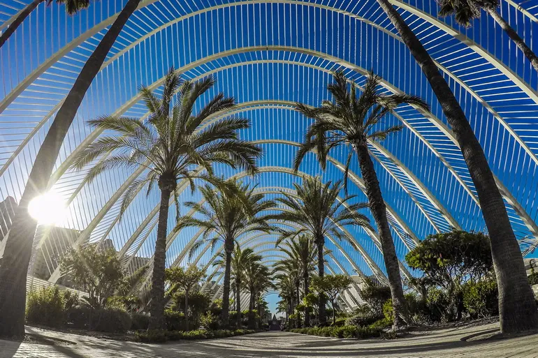 Palme ispod lukova Umbracle šetališta